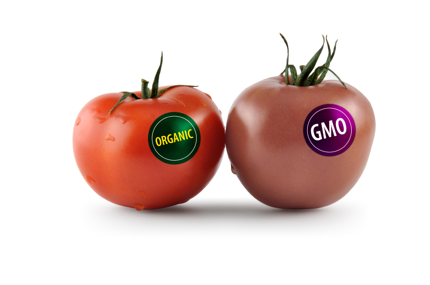 Genetically Modified Food