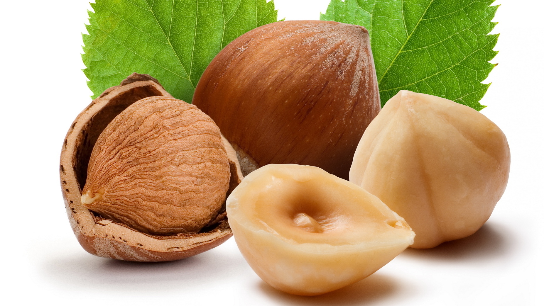 hazelnut-farming-cultivation-and-production-agri-farming