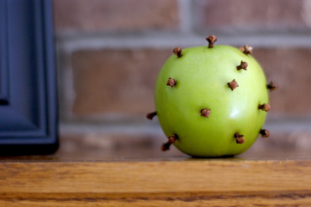 Get Rid Of Fruit Flies Naturally With This Simple But Very Effective Trick